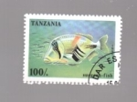 Sellos de Africa - Tanzania -  pez