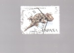 Stamps Spain -  tarentola