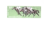 Stamps Hungary -  caballos