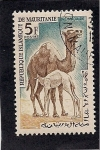 Sellos de Africa - Mauritania -  dromadaire