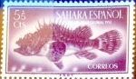 Stamps Spain -  Intercambio 0,20 usd 5 + 5 cents. 1953