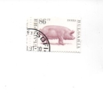 Stamps Bulgaria -  CERDO