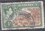 Stamps Jamaica -  arboles cítricos