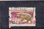 Stamps Russia -  OSO PARDO