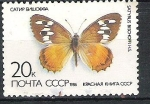 Sellos de Europa - Rusia -  C.C.C.P. Mariposas Nº5