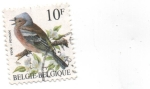 Stamps Belgium -  PINZON