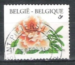 Stamps Belgium -  1997 Flowers - Self-adhesive Stamp