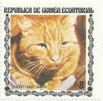 Sellos de Africa - Guinea Ecuatorial -  RAZAS DE GATOS. GATO ATIGRADO DE PELO CORTO, VALOR FACIAL 8 Ek. YVERT GQ 129D