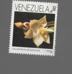 Stamps Venezuela -  flor