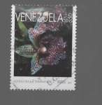 Sellos de America - Venezuela -  FLOR