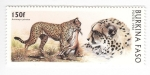 Stamps Burkina Faso -  Leopardo