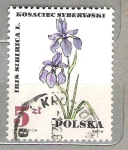 Sellos de Europa - Polonia -  1967 Protected Therapeutic Plants