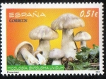 Stamps Spain -  4740- Micología. Estolema Lividum.