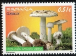 Sellos de Europa - Espa�a -  4741-  Micología. Amanita verna.