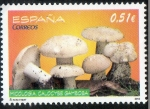 Sellos de Europa - Espaa -  4742-  Micología. Calocybe gambosa.