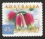 Stamps Australia -  COrrea reflexa