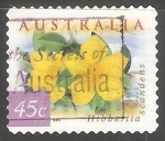 Stamps Australia -   Hibbertia Scandens 