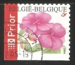 Stamps Belgium -  Clavel rojo