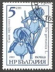 Sellos del Mundo : Europe : Bulgaria : Iris germanica