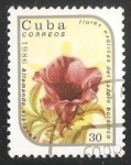 Stamps Cuba -  Allamanda violacea