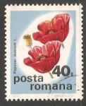 Stamps Romania -  Amapola