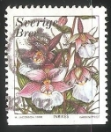 Stamps Sweden -  Orquidea