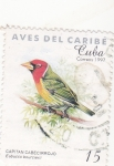 Stamps Cuba -  AVES DEL CARIBE-CAPITAN CABECIRROJO