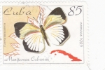 Sellos de America - Cuba -  MARIPOSAS CUBANAS