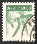 Stamps Brazil -  Eucalipto