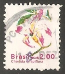 Sellos de America - Brasil -  Chorisia crispiflora