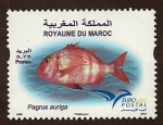 Stamps Africa - Morocco -     Pagnus Auriga