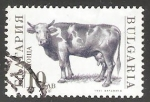 Sellos del Mundo : Europe : Bulgaria : Bos primigenius taurus-toro