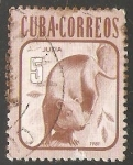 Stamps Cuba -  Jutia