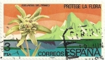 Sellos de Europa - Espa�a -  PROTECCIÓN DE LA NATURALEZA. EDELWEISS DEL PIRINEO. EDIFIL 2469