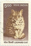 Stamps : Asia : India :  FAUNA SALVAJE. GATO DE BENGALA, Prionailurus bengalensis. YVERT IN 1525