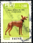 Stamps Peru -  PERU_SCOTT 884.01 PERRO SIN PELO DEL PERU, FAUNA. $1,00