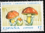 Stamps Spain -  3245 -Micología. Amanita caesarfa.