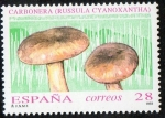 Sellos de Europa - Espa�a -  3246 - Micología. Russula cyanoxantha.