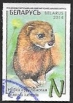 Stamps Belarus -  880 - Visón, mustela luteola