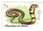 Sellos del Mundo : Africa : Guinea : Reptiles y serpientes. Cobra.