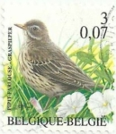 Sellos del Mundo : Europa : B�lgica : SERIE PÁJAROS, DE ANDRÉ BUZIN. BISBITA PRATENSE, Anthus pratensis. YVERT BE 2919