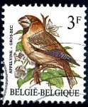 Sellos de Europa - B�lgica -  BELGICA_SCOTT 1219.01 GROS BEC. $0,2