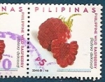 Stamps Philippines -  Frambuesa