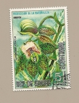 Stamps Equatorial Guinea -  Protección de la Naturaleza - Flora de America - Orquidea Catasetum