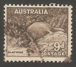 Sellos de Oceania - Australia -  Platypus