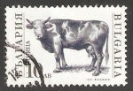 Sellos del Mundo : Europe : Bulgaria : Bull (Bos primigenius taurus)