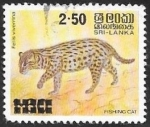 Sellos de Asia - Sri Lanka -  Felis viverrina