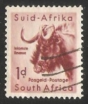 Sellos de Africa - Sudfrica -  Black Wildebeest 