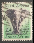 Stamps South Africa -  Elefante