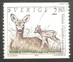 Stamps Sweden -  Radjur Capreolus capreolus